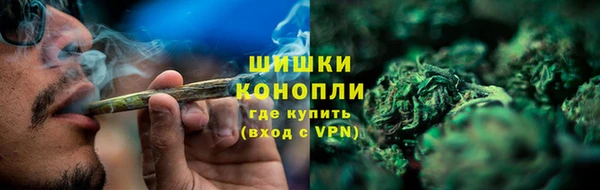 гидропоника Бородино