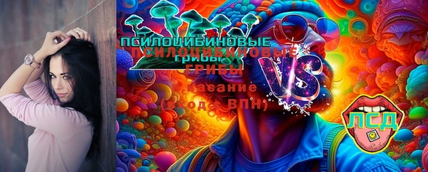 прущая мука Верхний Тагил