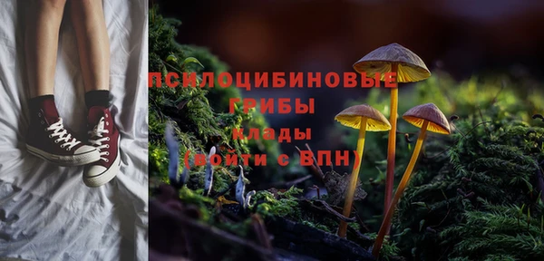 гидропоника Бородино