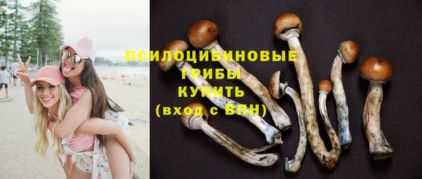 прущая мука Верхний Тагил