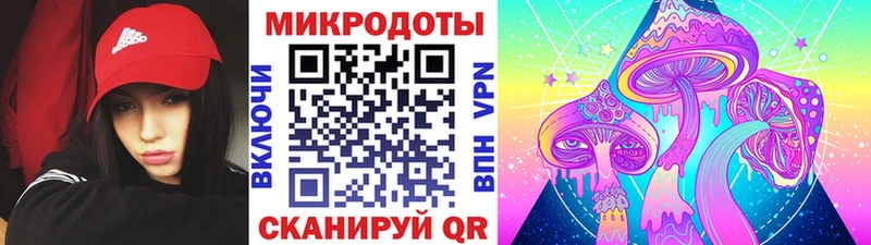 Псилоцибиновые грибы MAGIC MUSHROOMS  Купить закладки  Кольчугино 